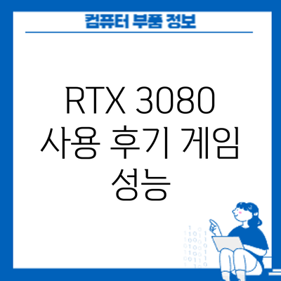 RTX 3080 사용 후기: 게임 성능