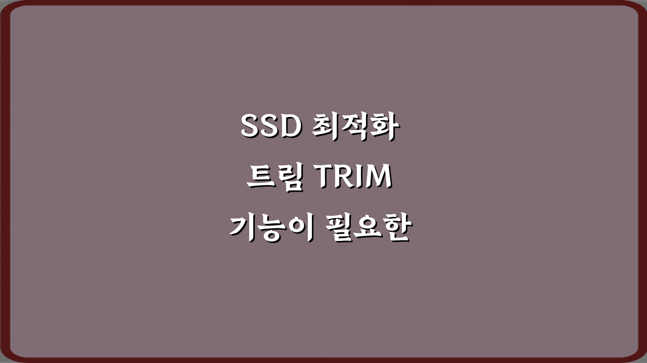 SSD 최적화 트림 TRIM 기능이 필요한 이유 5가지 핵심 정리